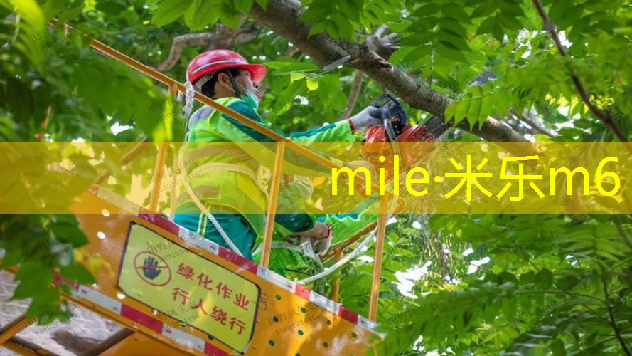 米乐m6官网登录入口：湖州哪里可以租网球拍子