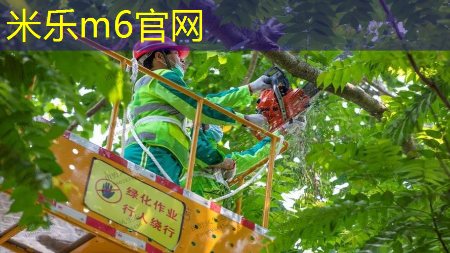 米乐m6官网：网球拍的线是什么颜色