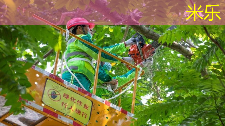 米乐m6官网登录入口：网球拍子什么样的好看