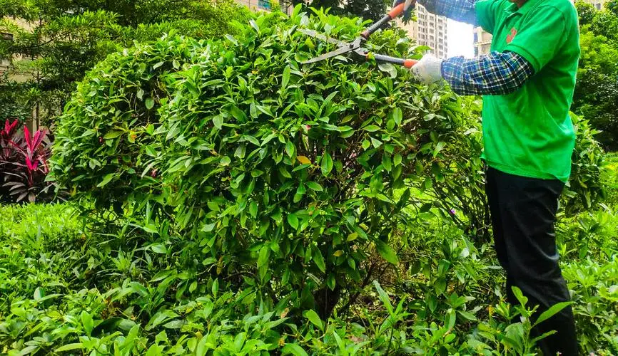 mile米乐m6官网：老款邓禄普网球拍