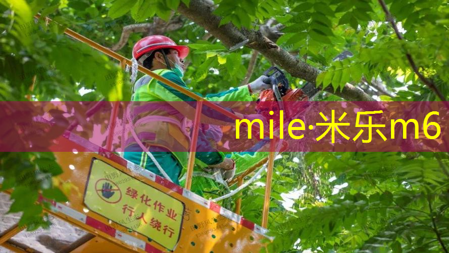 网球拍磅数高怎么办