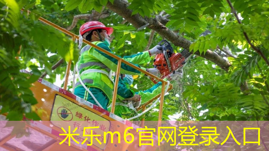 米乐m6官网登录入口：无绳自动网球拍怎么样