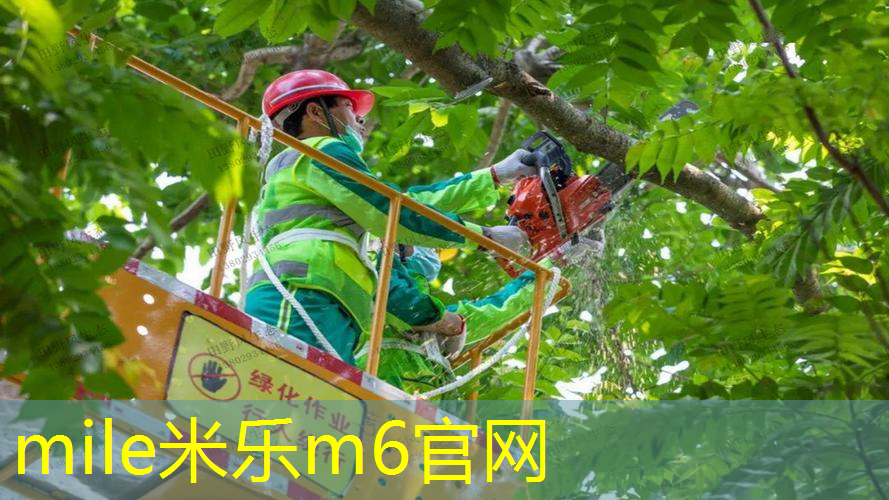 米乐m6官网：网球拍正品双拍怎么选的