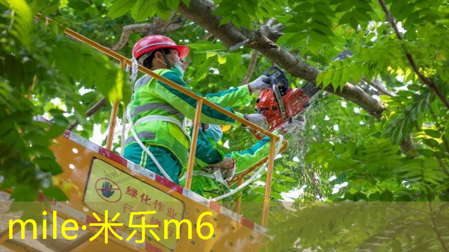 mile米乐m6官网：网球拍手胶最好的材质是