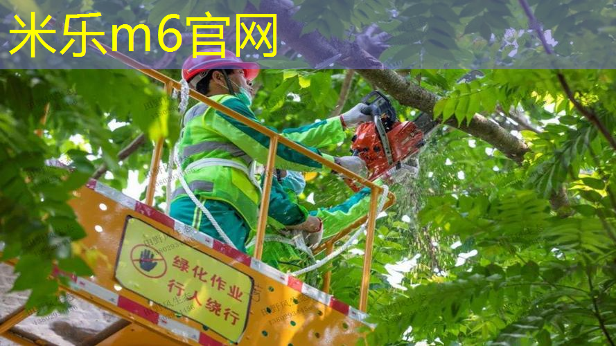 米乐m6官网登录入口：篮球无器材核心力量训练