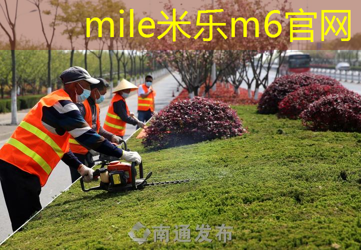 乒乓球台的台面高度