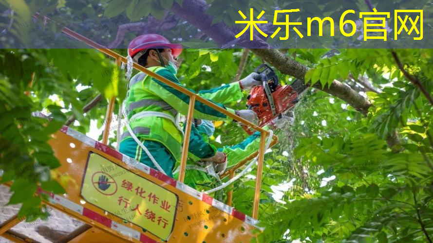 户外运动乐趣无穷！选择室外体育健身器材全套释放你的天性