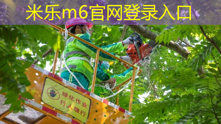 网球拍的线是什么颜色