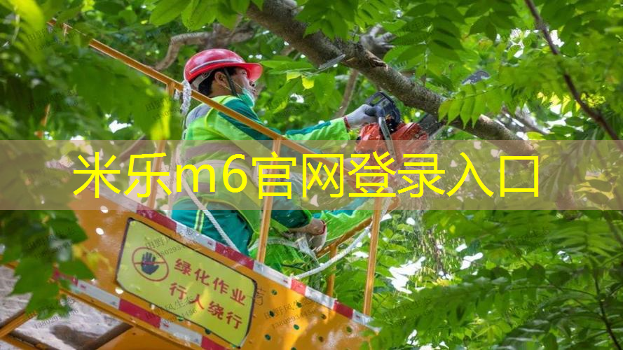 网球拍球杆粗细区别图解