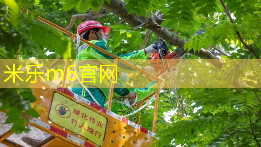 网球拍子什么样的好看