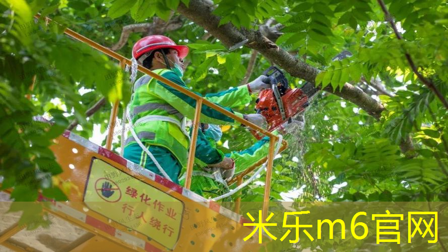 网球拍磅数高怎么办