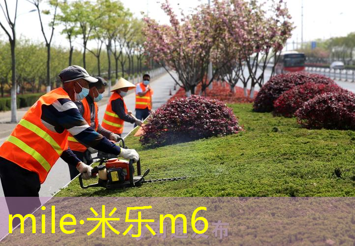 职业运动员网球拍价格
