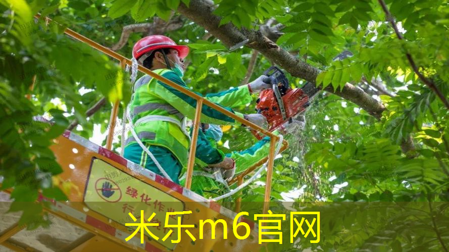 好有的网球拍怎么选择好坏