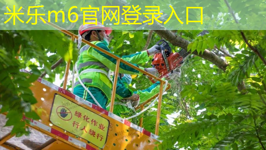 追逐强健体魄，单杠是你的终极选择！