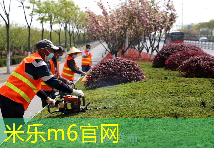 室内平小腹健身动作