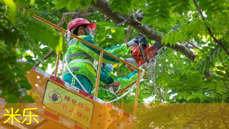 户外运动乐趣无穷！选择室外体育健身器材全套释放你的天性